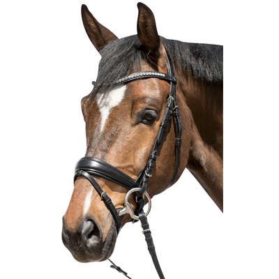 Cheval de Luxe Trensenzaum Valkenswaard