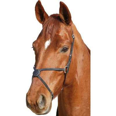 Mexikanisches Reithalfter schwarz | Warmblut