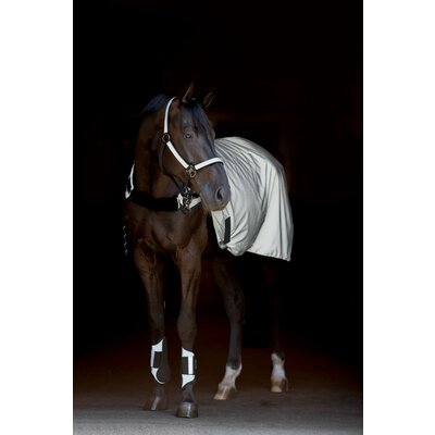 PROTECT by Horse-friends Bewegungsdecke