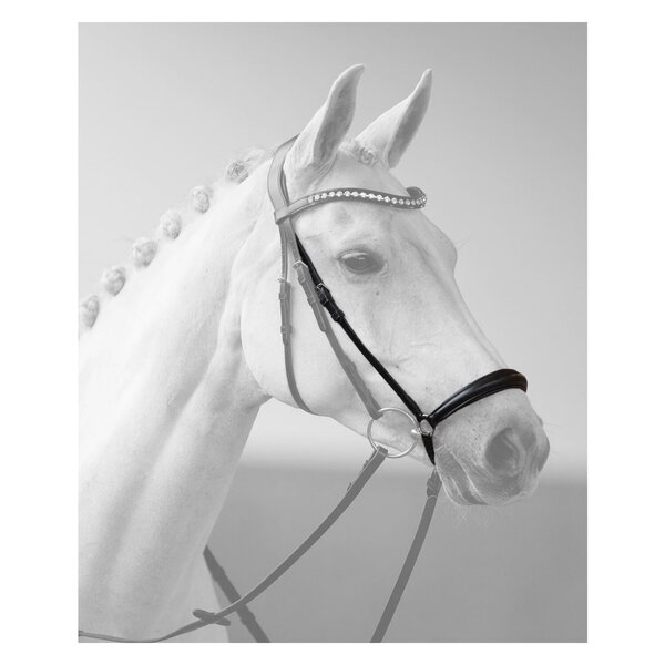 DÖBERT Hannoveraanse neusriem black | Warmbloed
