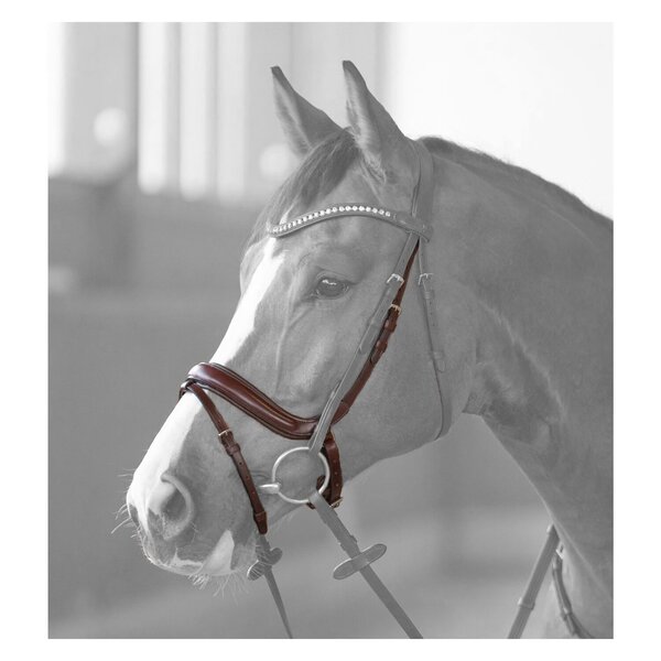 DÖBERT anatomische neusriem brown | Warmbloed