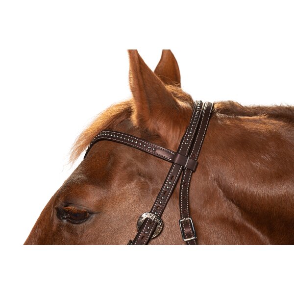 Passion 4Q Westernteugels dark brown | One size