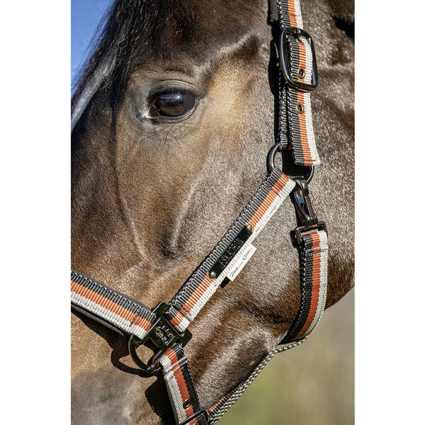 ESKADRON Platinum halster Lightweight Double Pin 