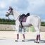 Cheval de Luxe Fliegenohren Charleroi