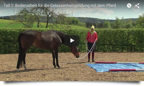 Loesdau Lessons - Bodenarbeit mit Sabine Ellinger - Teil 1: Trainieren für die Gelassenheitsprüfung mit dem Pferd