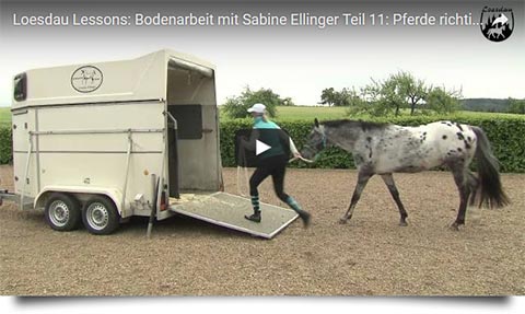 Loesdau Lessons - Bodenarbeit mit Sabine Ellinger - Teil 11: Pferde richtig verladen - drei Verlademöglichkeiten