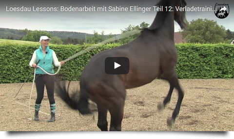 Loesdau Lessons - Bodenarbeit mit Sabine Ellinger - Teil 12: Verladetraining mit Pferd