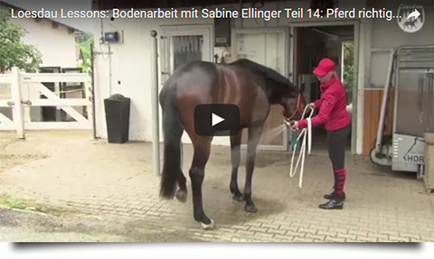 Loesdau Lessons - Bodenarbeit mit Sabine Ellinger - Teil 14: Pferde richtig waschen