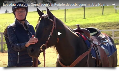 Loesdau Lessons - Pferdeausbildung mit Ute Holm - Grundsätze beim Pferdetraining