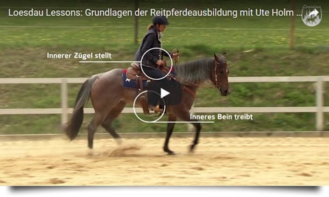 Loesdau Lessons - Pferdeausbildung mit Ute Holm - Teil 1: Nachgiebigkeit trainieren