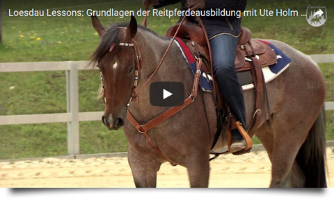 Loesdau Lessons - Pferdeausbildung mit Ute Holm - Teil 2a: Takt im Schritt trainieren
