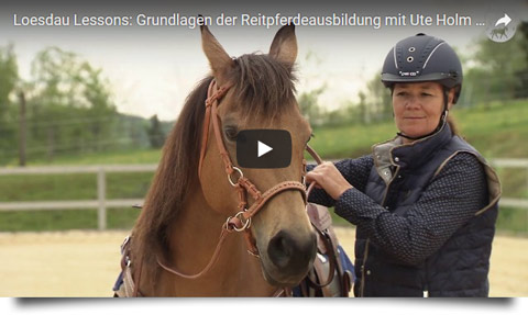 Loesdau Lessons - Pferdeausbildung mit Ute Holm - Trailer: Grundlagen der Reitpferdeausbildung mit Ute Holm