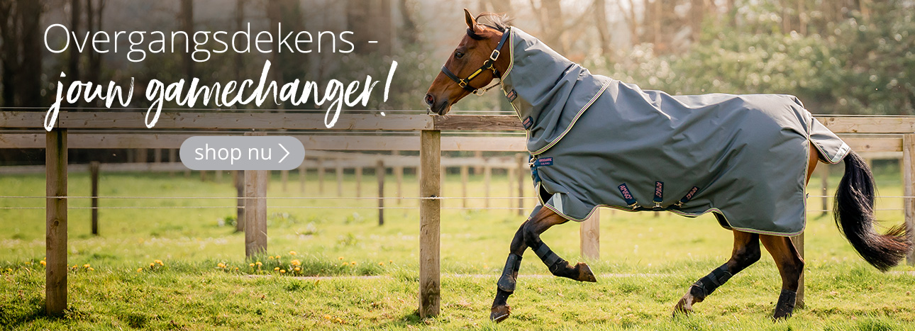 Paard