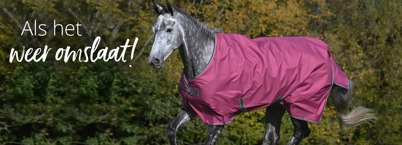 Regendekens & overgangsdekens