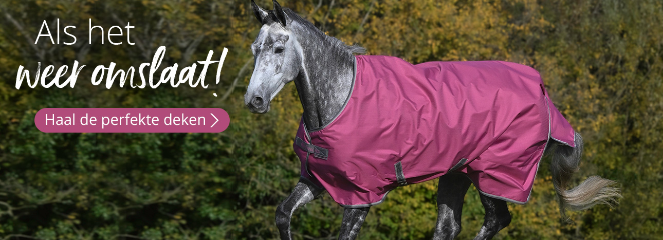 Paardendekens