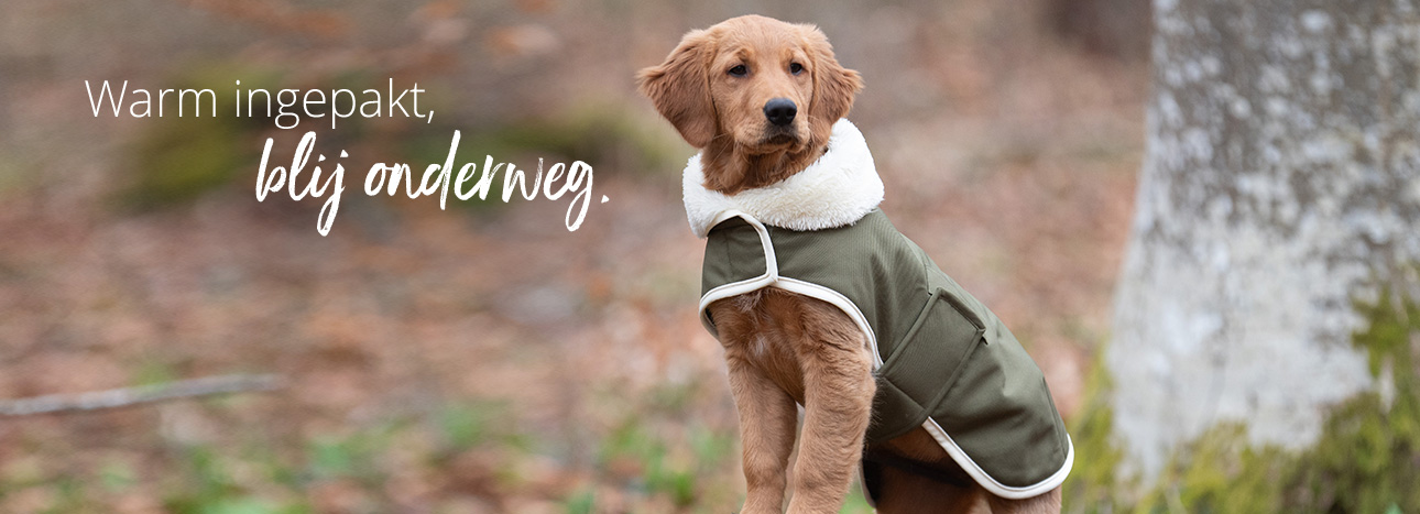 Hondenmantels