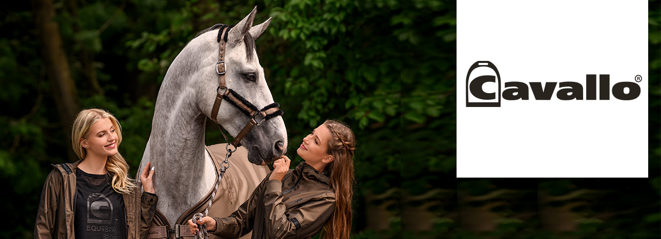Cavallo