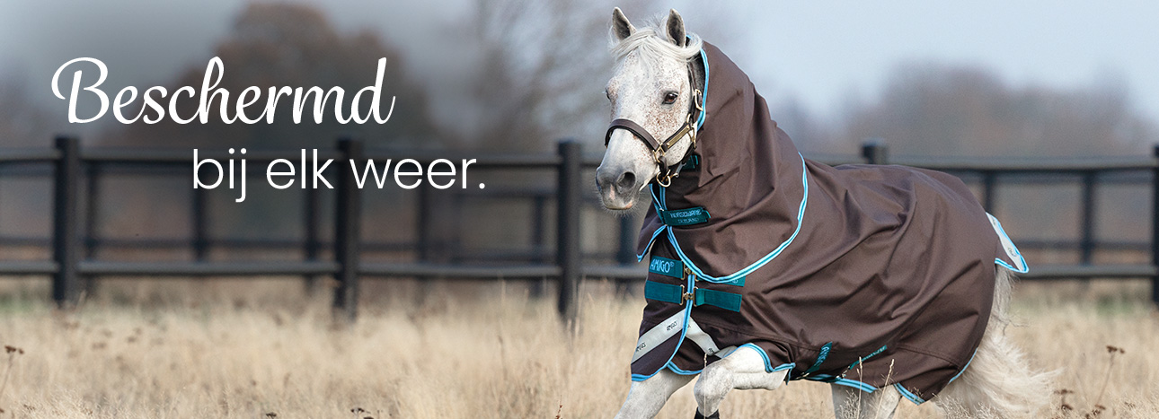 Regendekens & overgangsdekens