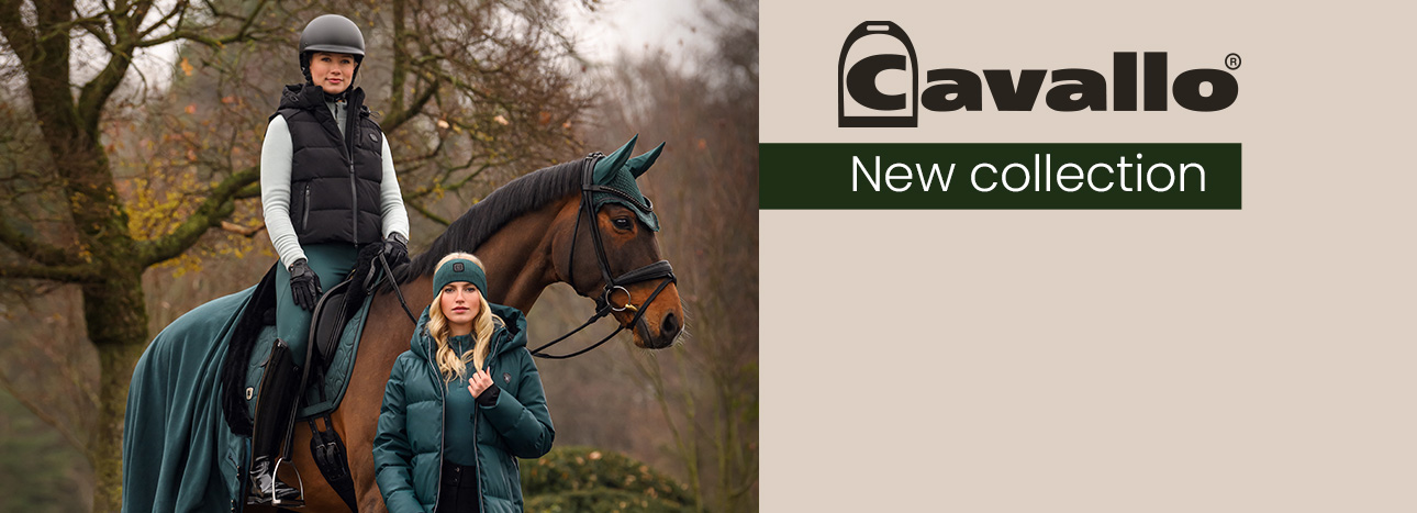 Cavallo