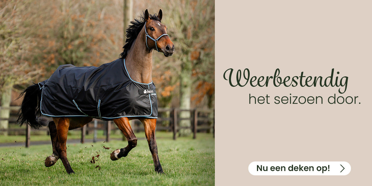 Weerbestendig het seizoen door. Nu een deken op!